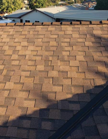 metal-roof A warm-toned, multi-layered brown asphalt shingle roof installation, showing the finished ridge line and surrounding suburban trees and houses.