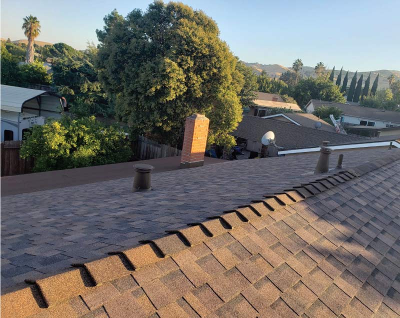 roofing-service asphalt shingle roof, showing the finished ridge line and surrounding suburban trees and houses