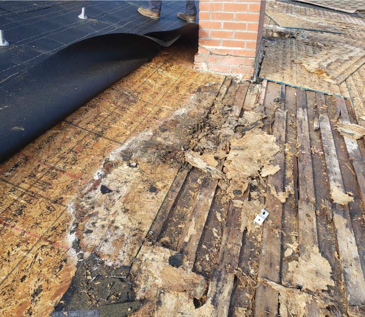 roof structural damage dry rot