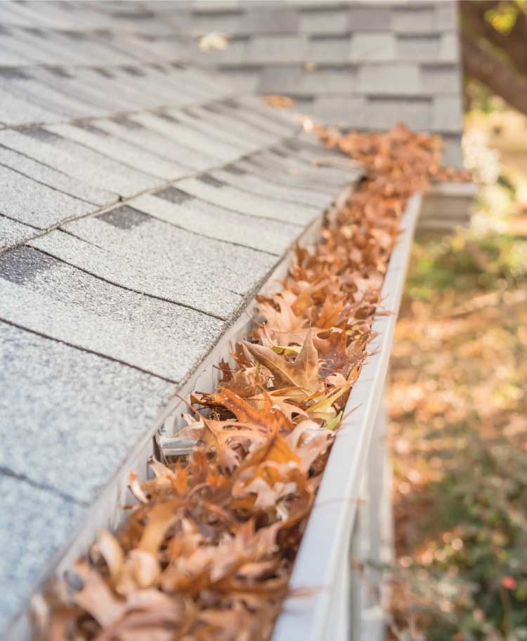  Gutter cleaning in antioch, ca