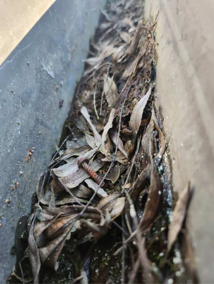 Clogged residential gutter filled with dry leaves, twigs, and a rusty screw, demonstrating common debris that requires professional removal to protect the roof's integrity.